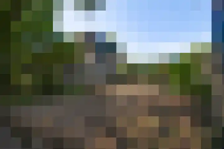 Vleutstraat 1 Best thumbnail 13