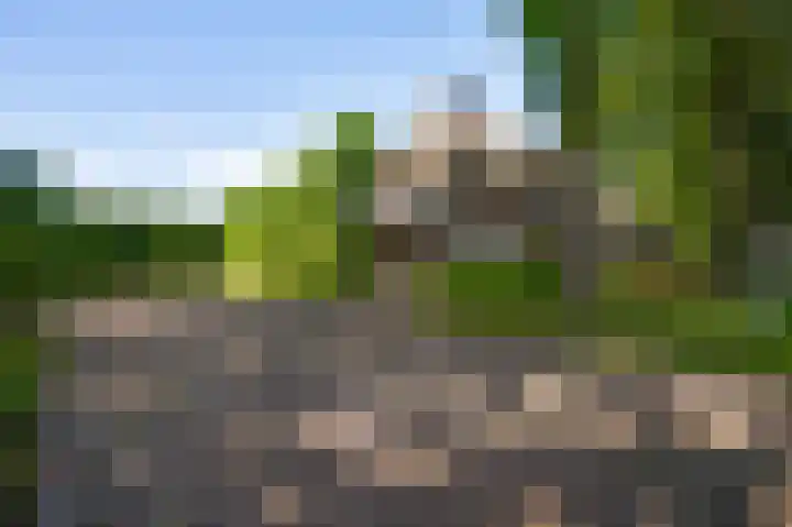 Vleutstraat 1 Best thumbnail 14