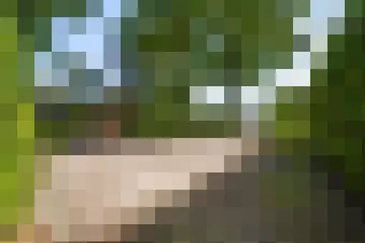 Vleutstraat 1 Best thumbnail 15