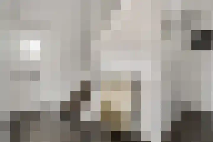 Vleutstraat 1 Best thumbnail 17