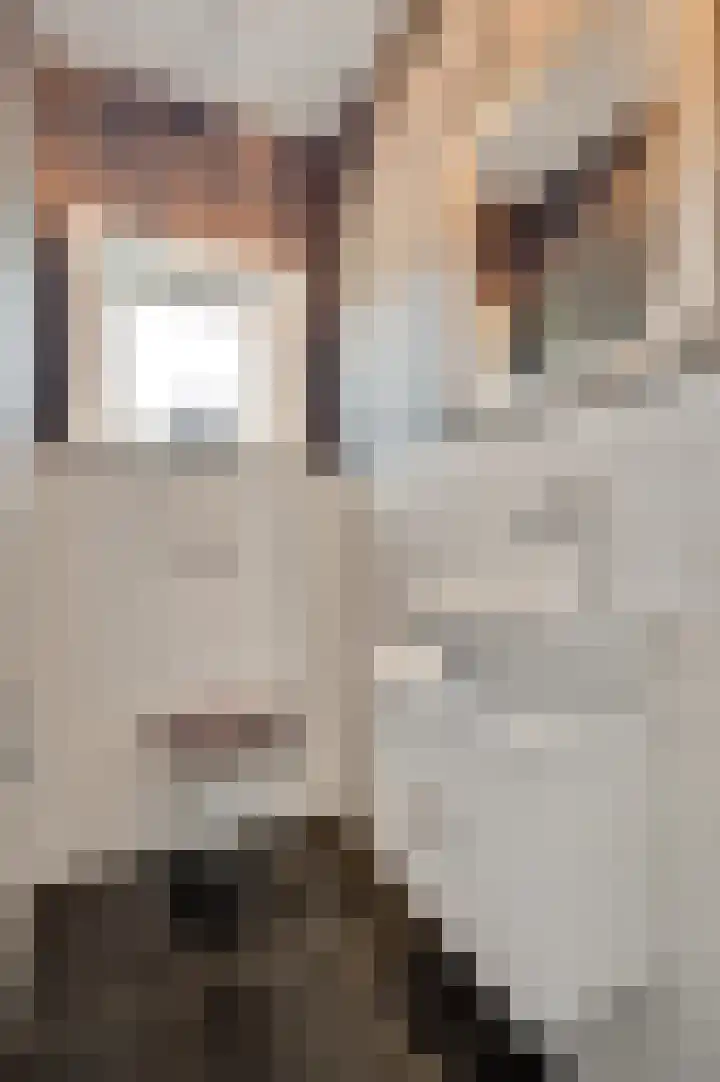 Vleutstraat 1 Best thumbnail 20