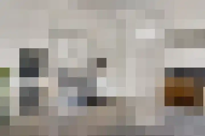 Vleutstraat 1 Best thumbnail 29