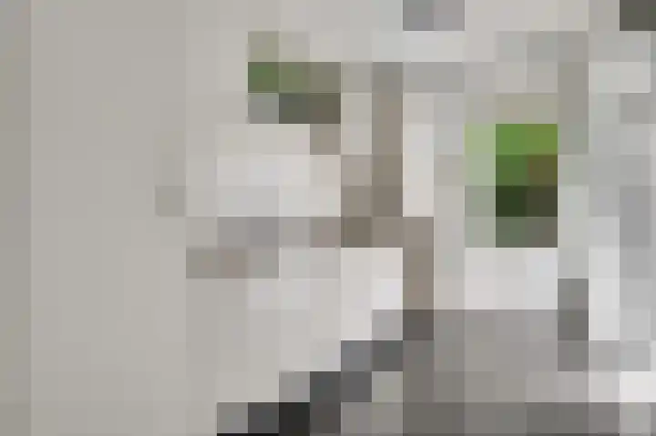 Vleutstraat 1 Best thumbnail 30