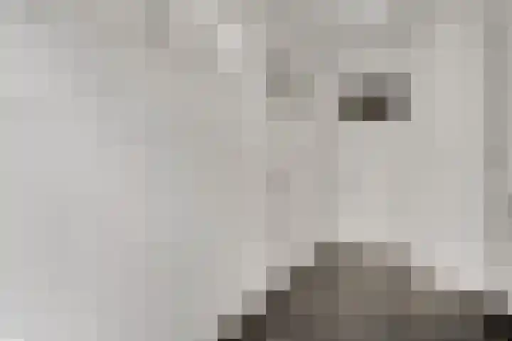Vleutstraat 1 Best thumbnail 31