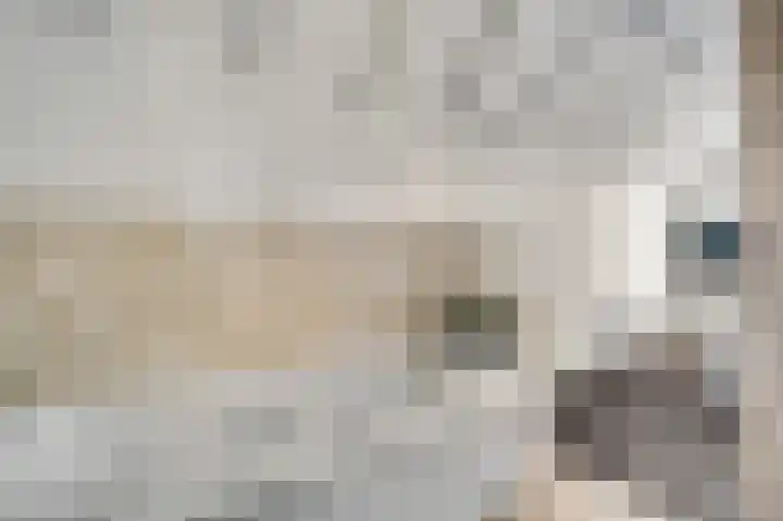 Vleutstraat 1 Best thumbnail 38