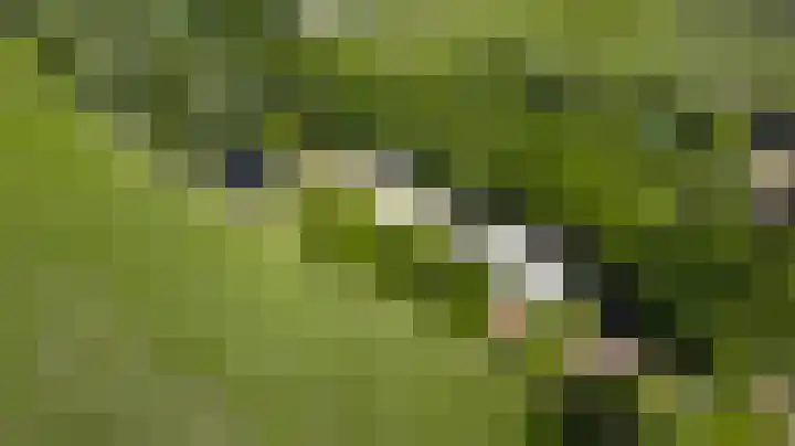 Vleutstraat 1 Best thumbnail 4