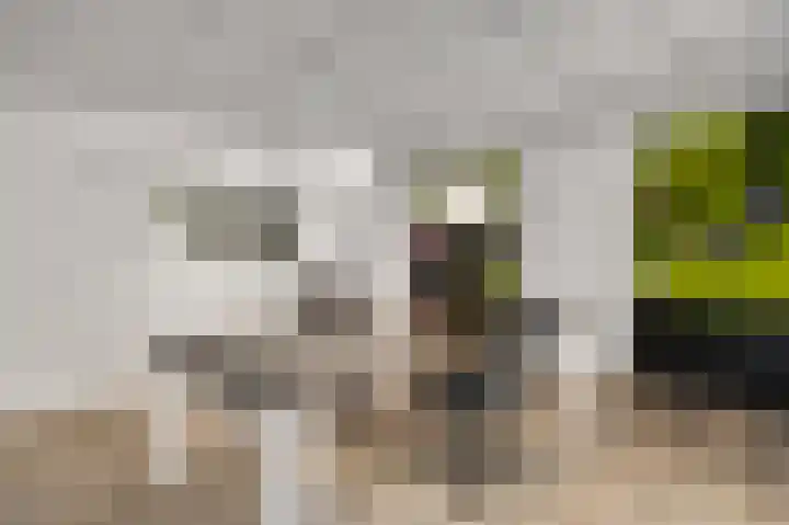 Vleutstraat 1 Best thumbnail 42