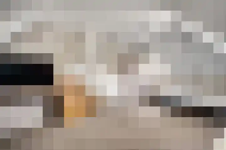 Vleutstraat 1 Best thumbnail 48