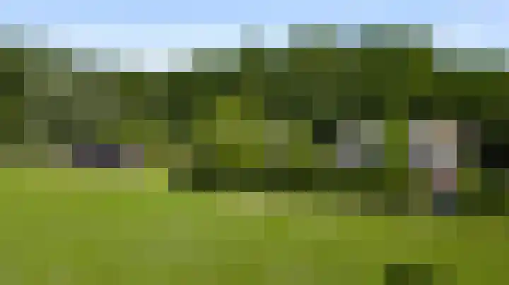 Vleutstraat 1 Best thumbnail 5