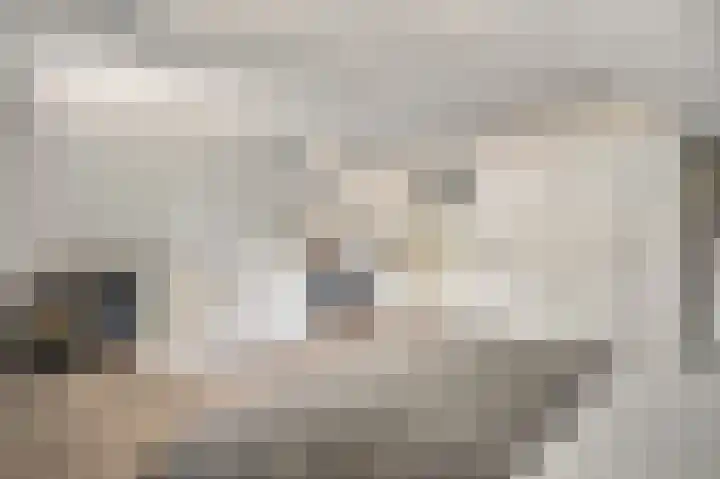 Vleutstraat 1 Best thumbnail 51