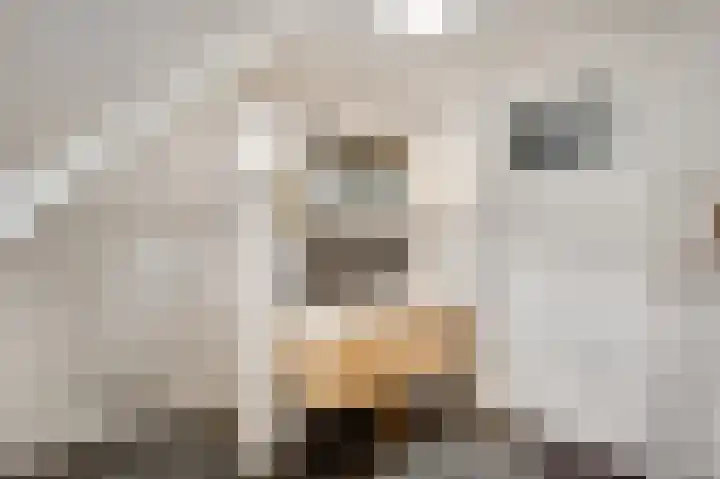 Vleutstraat 1 Best thumbnail 54
