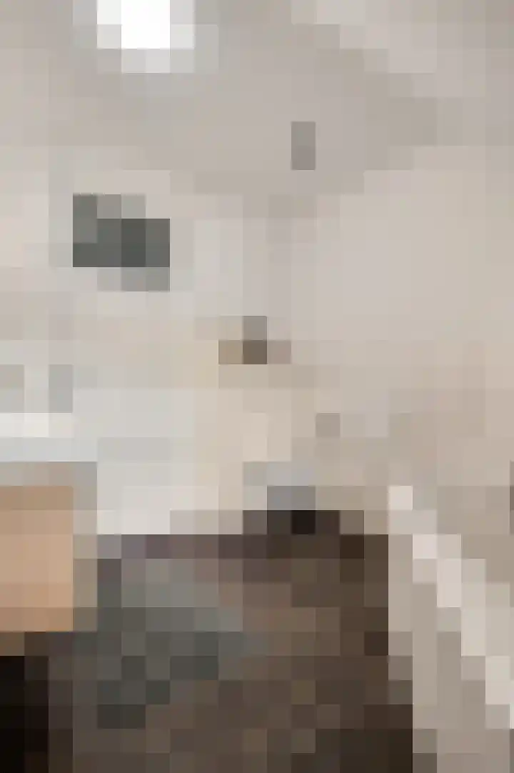 Vleutstraat 1 Best thumbnail 55