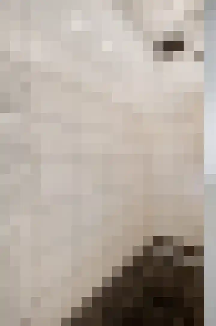 Vleutstraat 1 Best thumbnail 57
