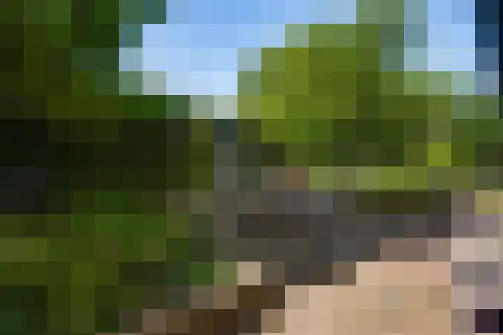 Vleutstraat 1 Best thumbnail 60