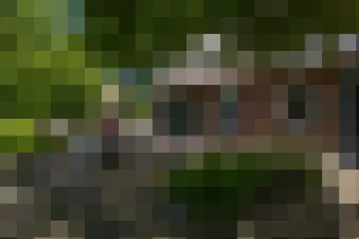 Vleutstraat 1 Best thumbnail 61