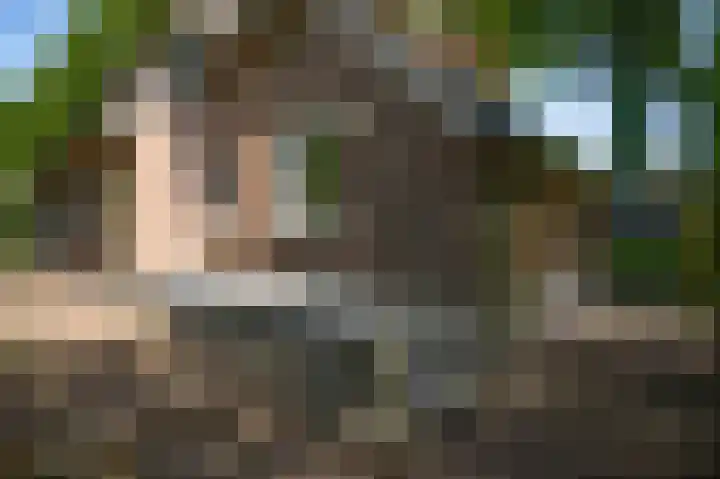 Vleutstraat 1 Best thumbnail 63