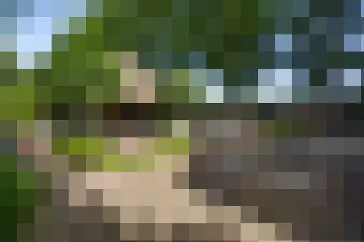 Vleutstraat 1 Best thumbnail 64