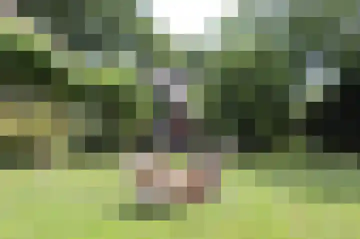 Vleutstraat 1 Best thumbnail 66