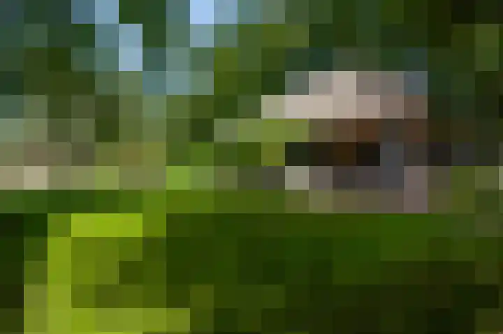Vleutstraat 1 Best thumbnail 67