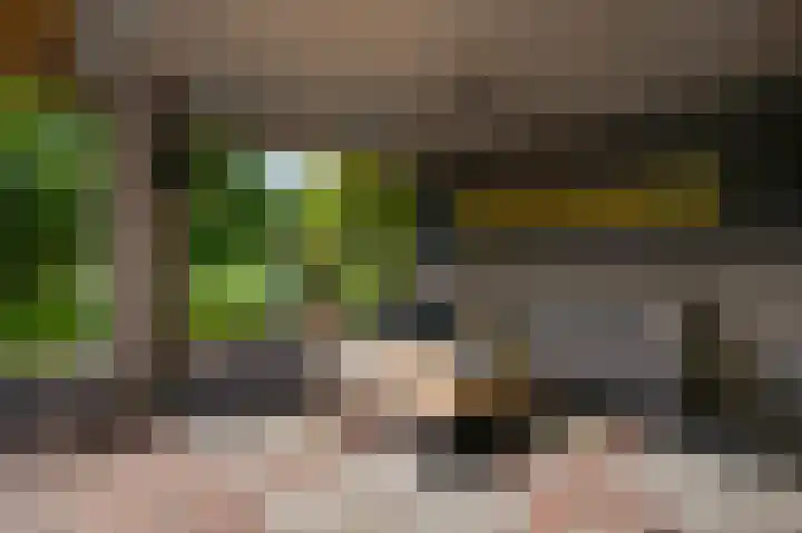 Vleutstraat 1 Best thumbnail 68