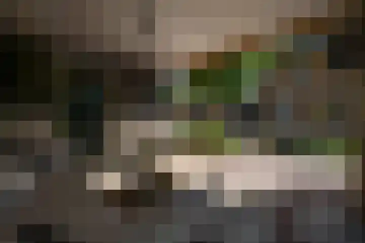 Vleutstraat 1 Best thumbnail 69