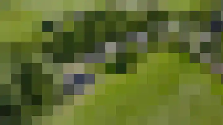 Vleutstraat 1 Best thumbnail 7