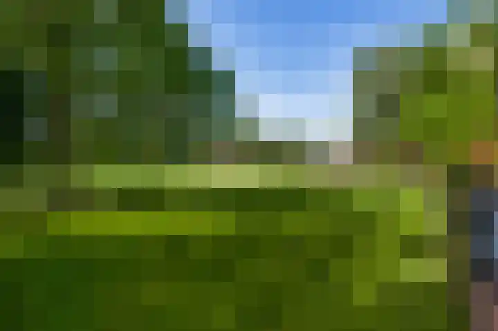 Vleutstraat 1 Best thumbnail 70