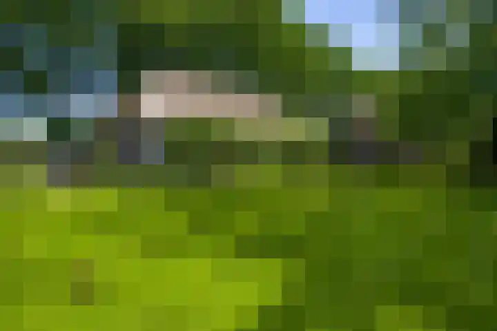 Vleutstraat 1 Best thumbnail 71