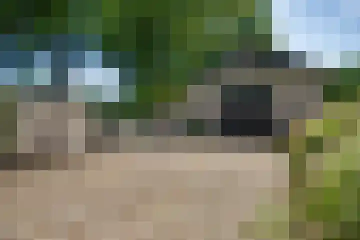 Vleutstraat 1 Best thumbnail 72