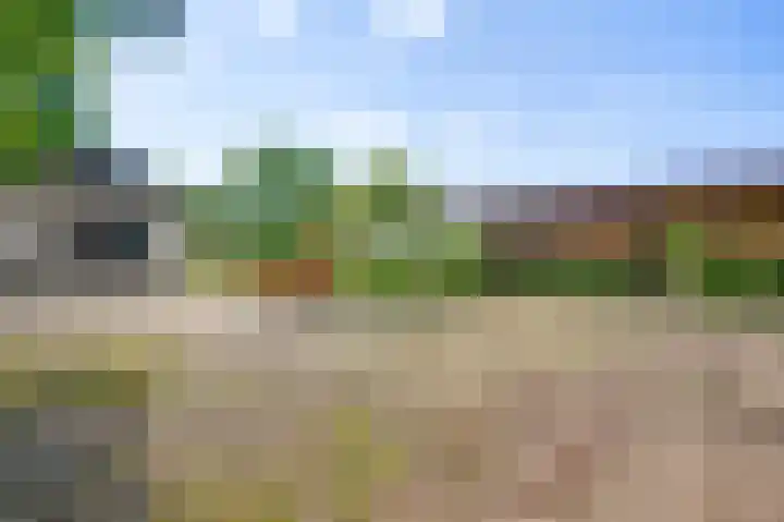 Vleutstraat 1 Best thumbnail 73