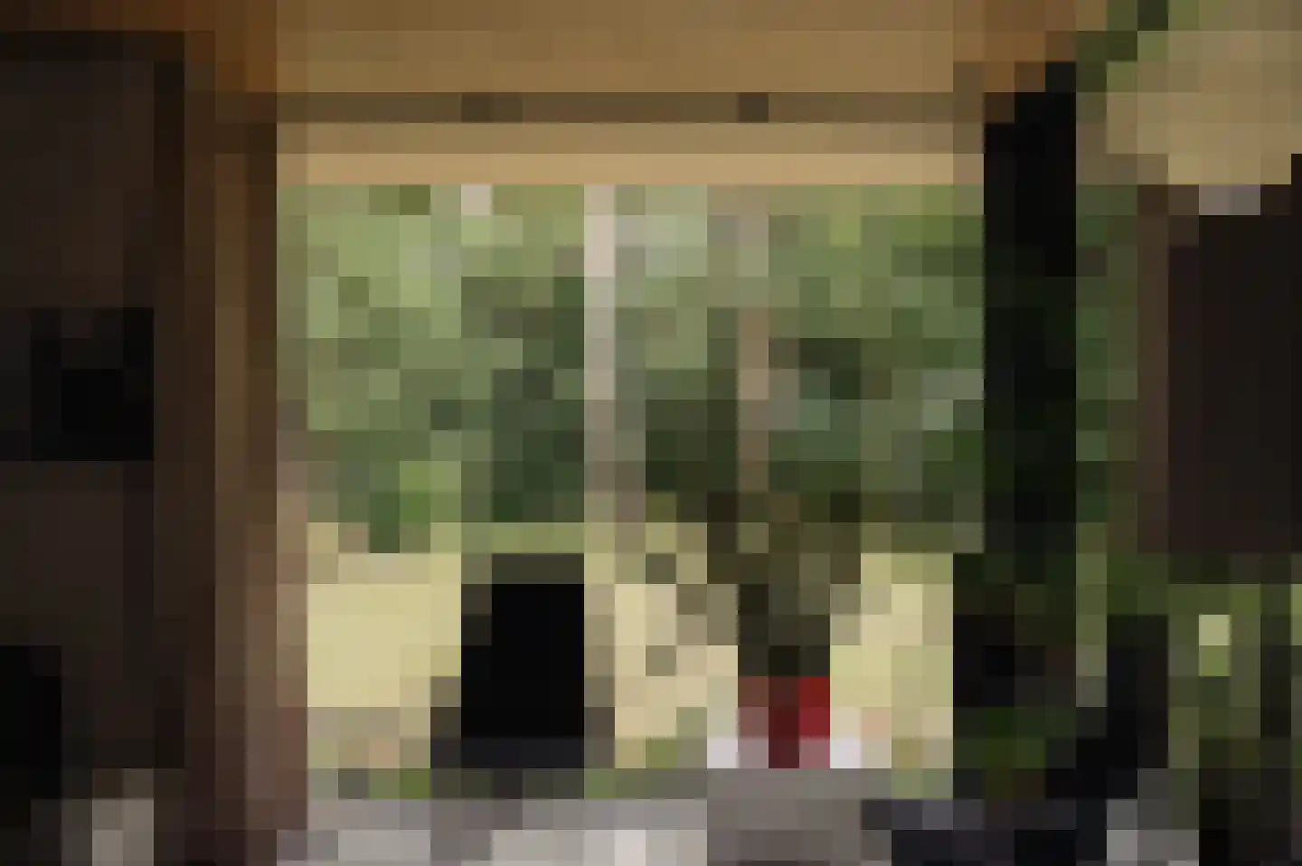 Vleysmanlaan 14 Wassenaar thumbnail 11
