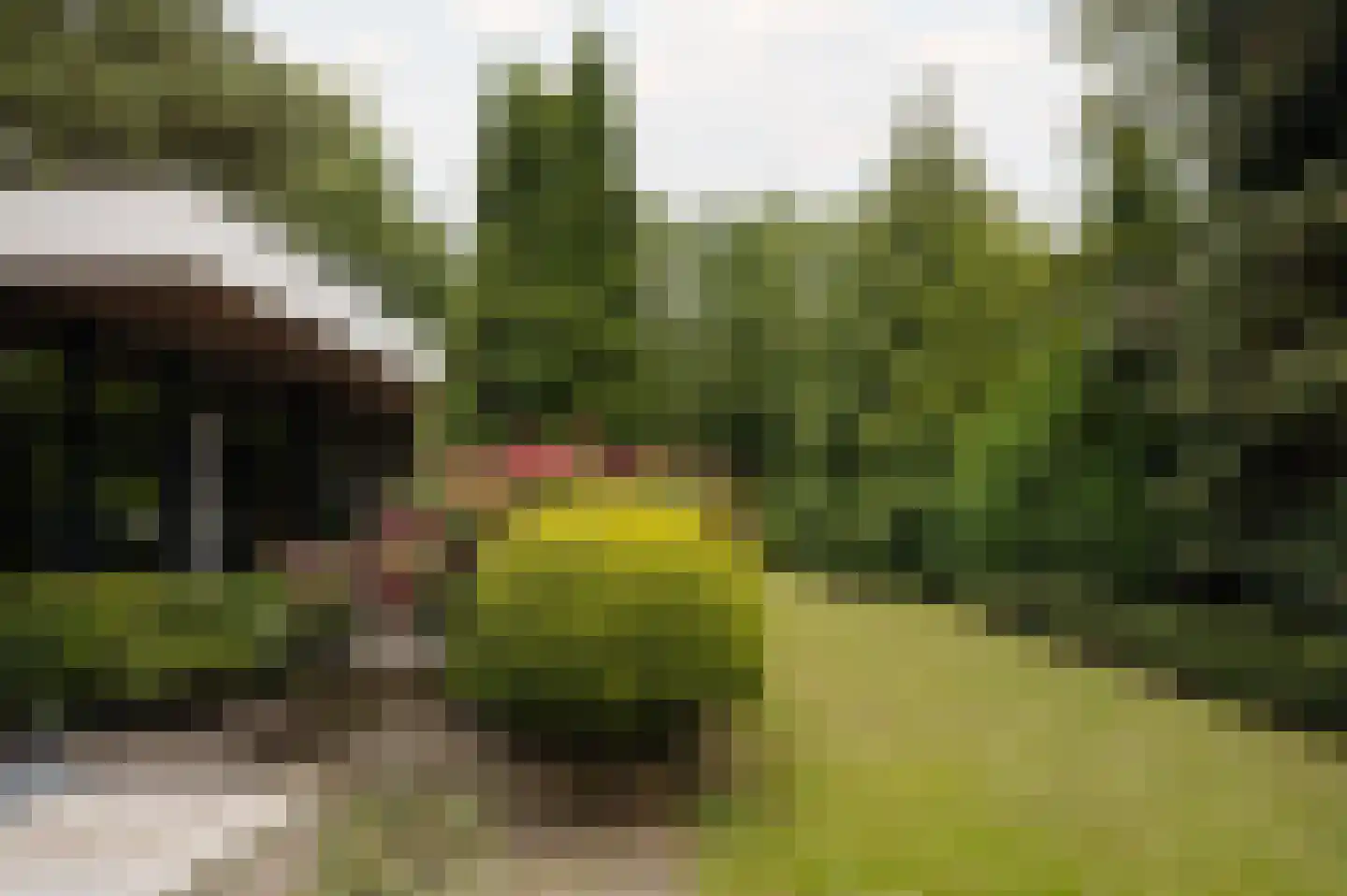 Vleysmanlaan 14 Wassenaar thumbnail 21