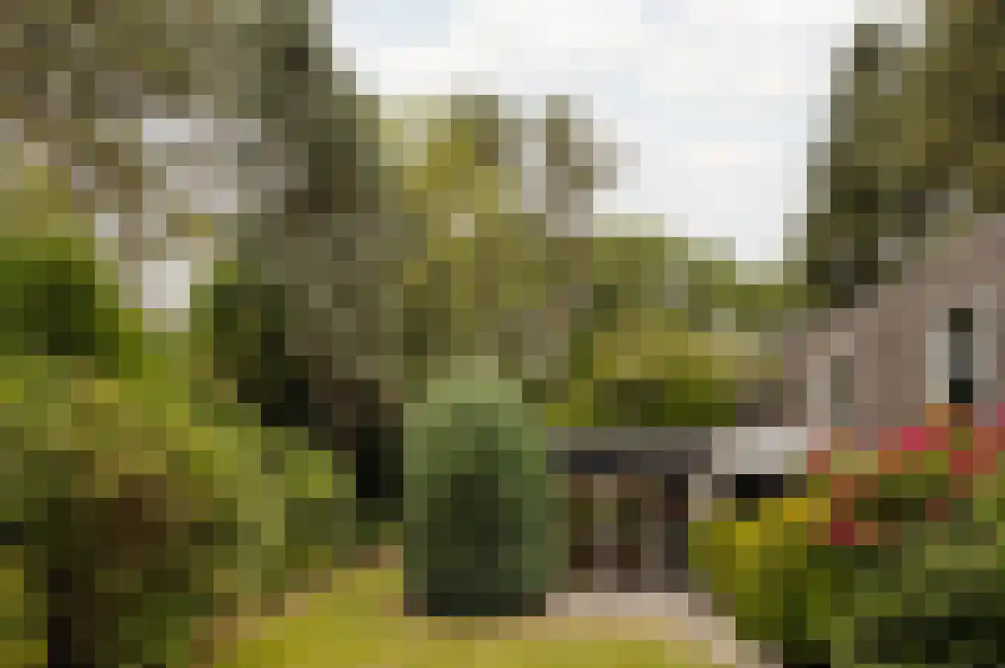 Vleysmanlaan 14 Wassenaar thumbnail 23