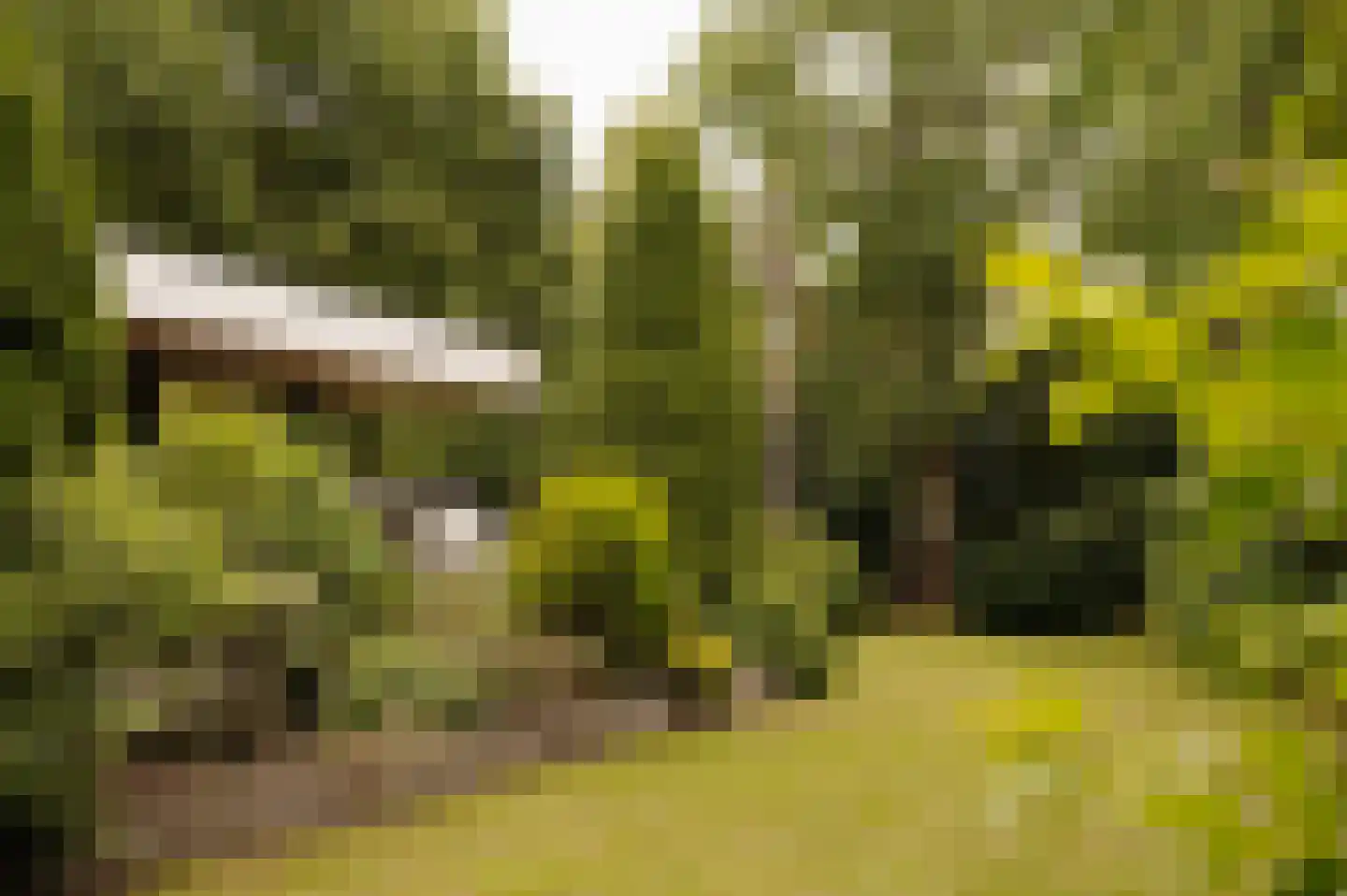 Vleysmanlaan 14 Wassenaar thumbnail 25