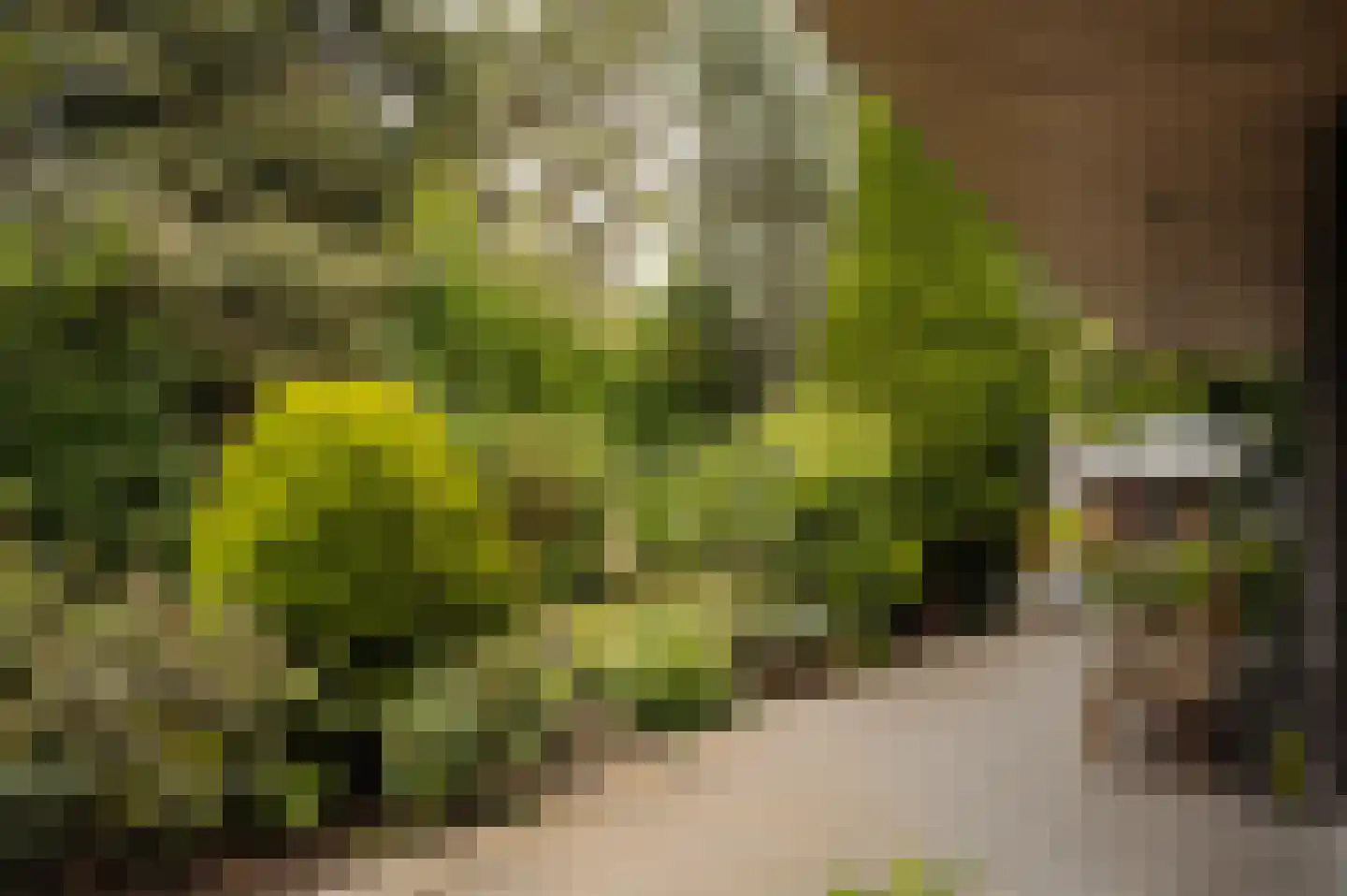 Vleysmanlaan 14 Wassenaar thumbnail 26