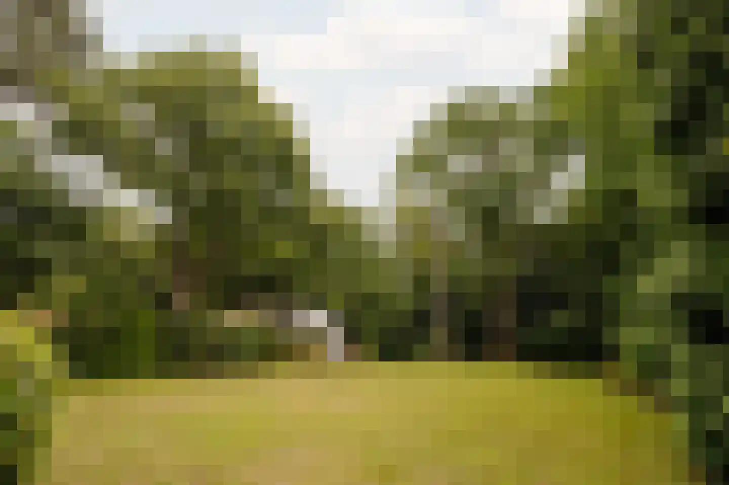 Vleysmanlaan 14 Wassenaar thumbnail 27