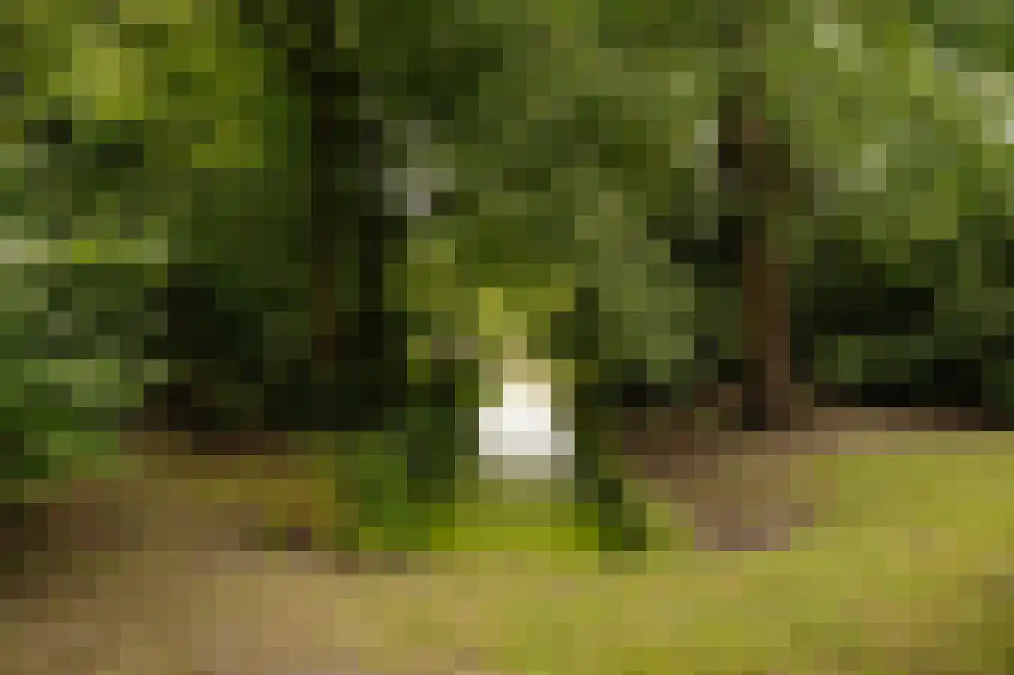 Vleysmanlaan 14 Wassenaar thumbnail 28