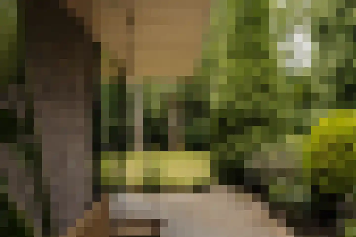 Vleysmanlaan 14 Wassenaar thumbnail 29