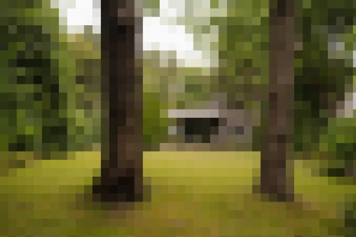 Vleysmanlaan 14 Wassenaar thumbnail 30