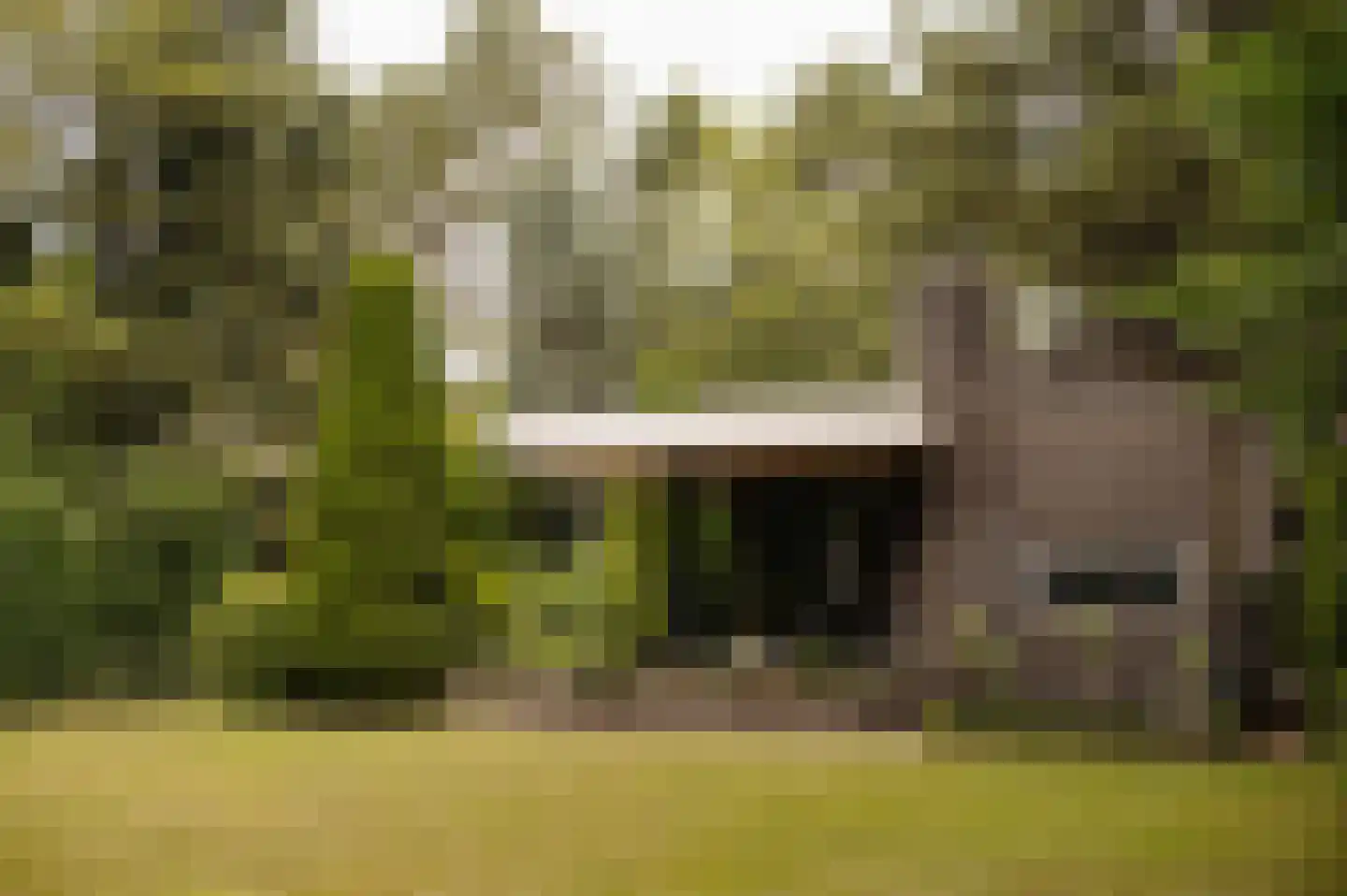 Vleysmanlaan 14 Wassenaar thumbnail 31