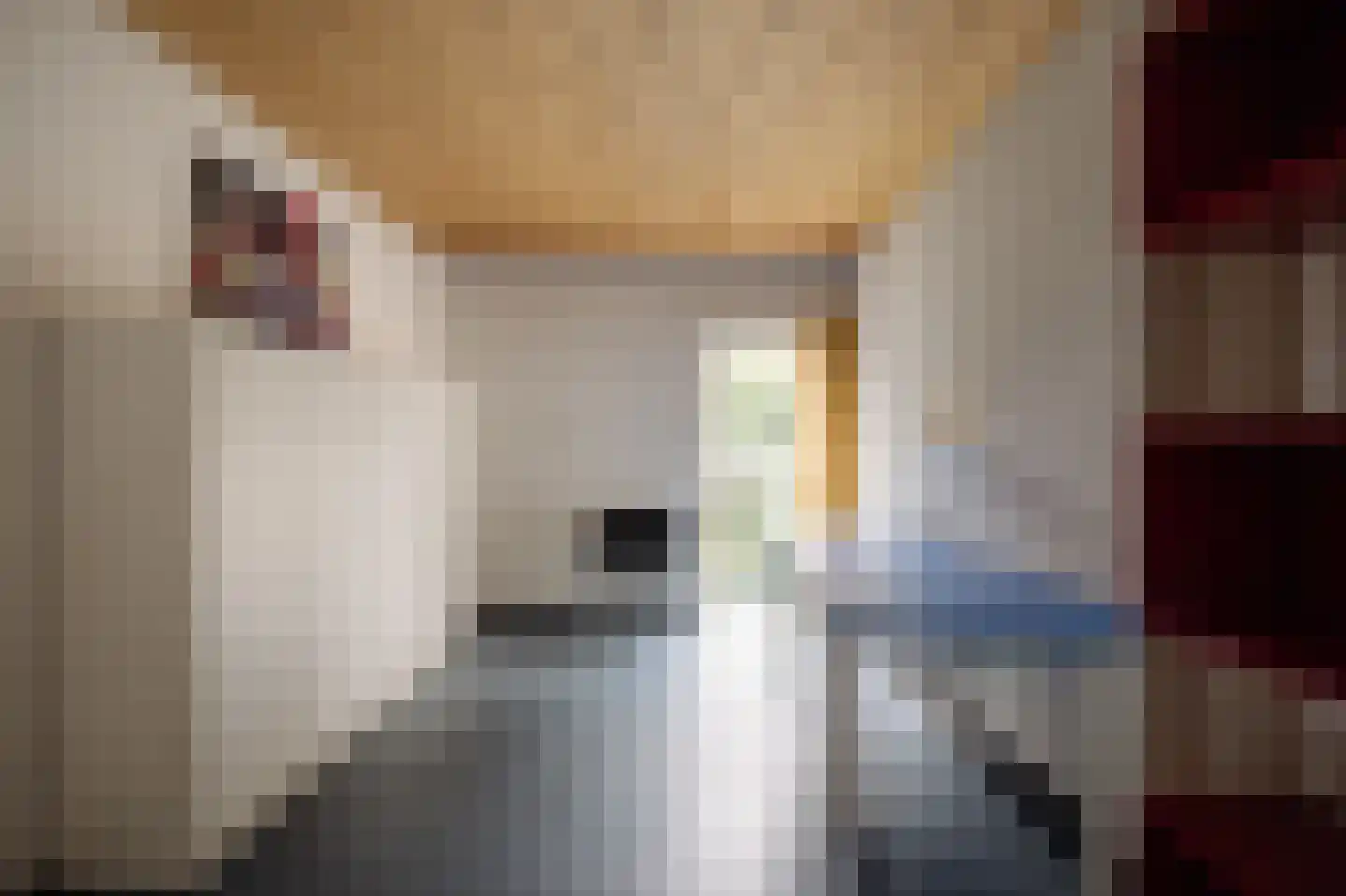 Vleysmanlaan 14 Wassenaar thumbnail 33