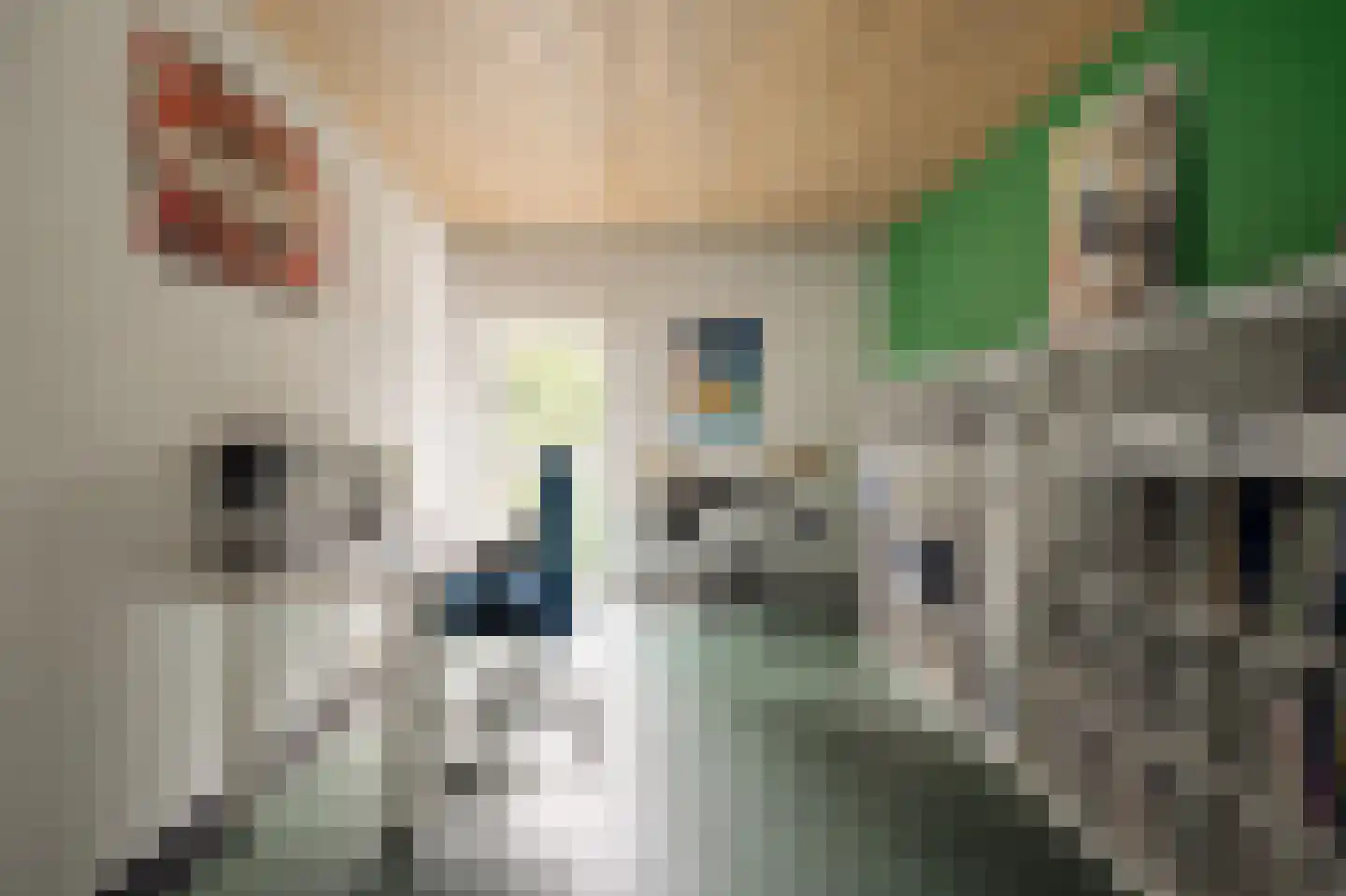 Vleysmanlaan 14 Wassenaar thumbnail 36