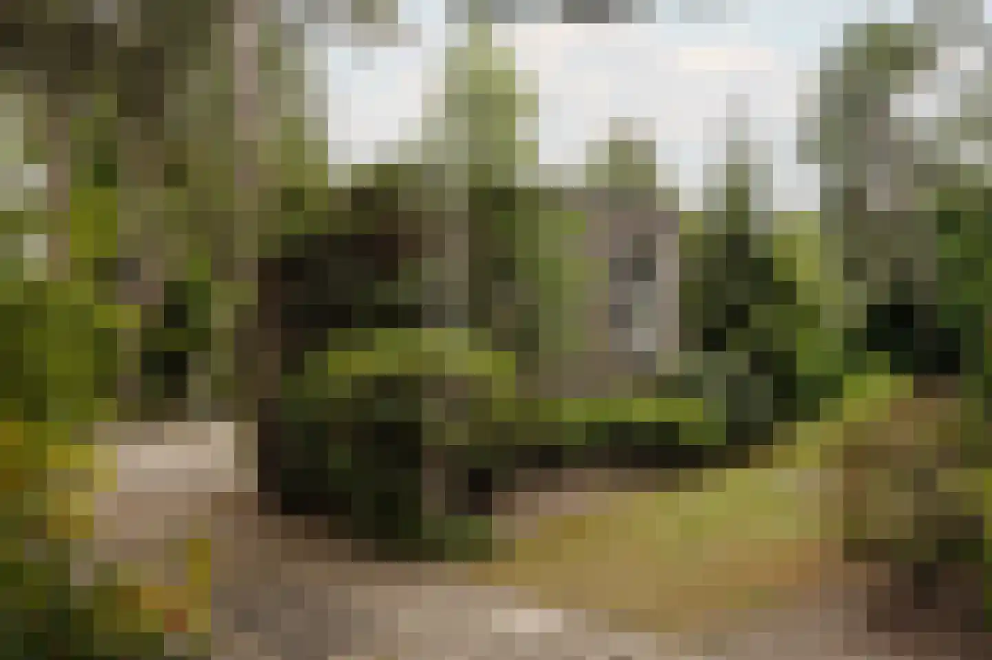 Vleysmanlaan 14 Wassenaar thumbnail 4