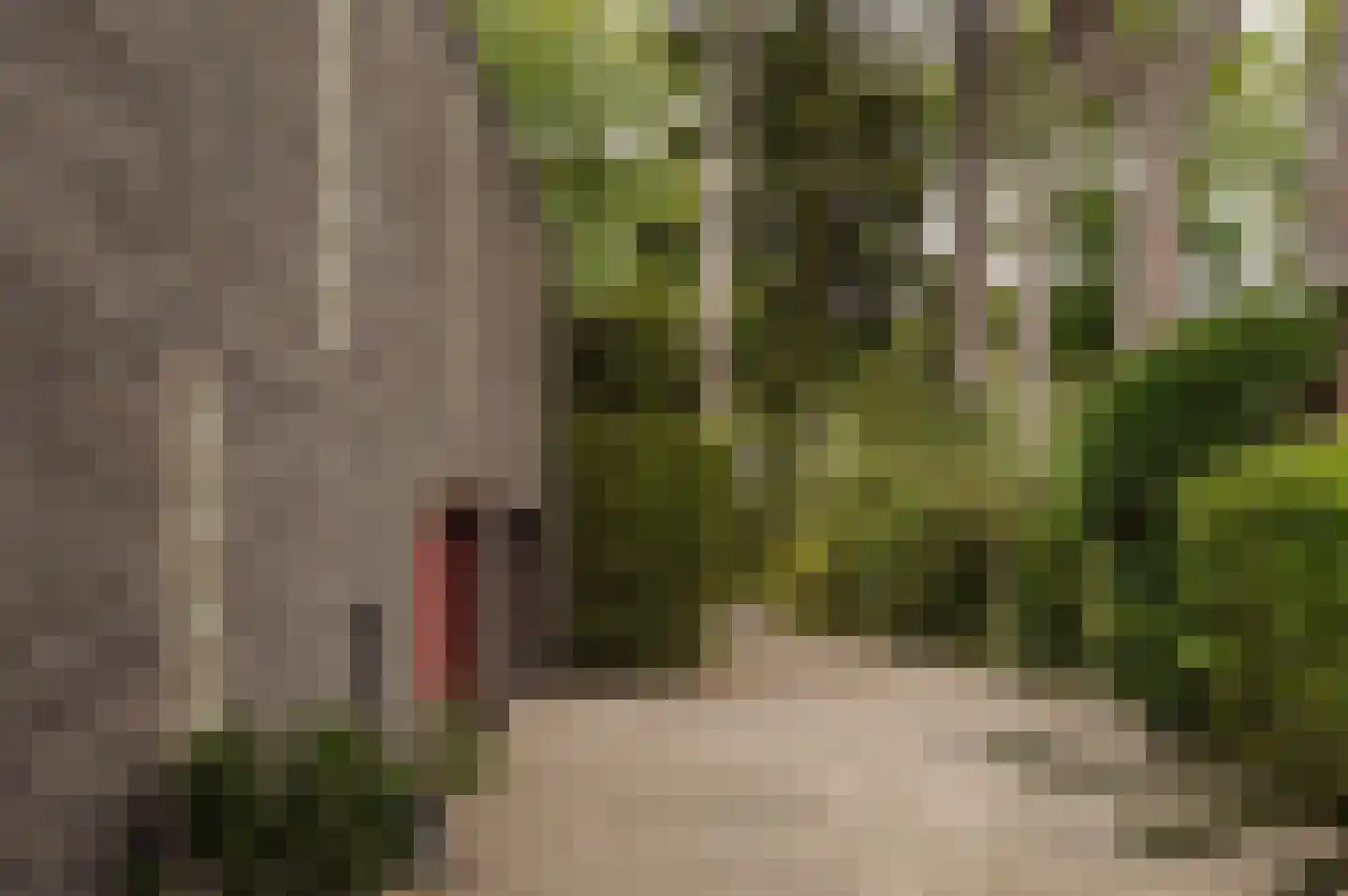 Vleysmanlaan 14 Wassenaar thumbnail 45