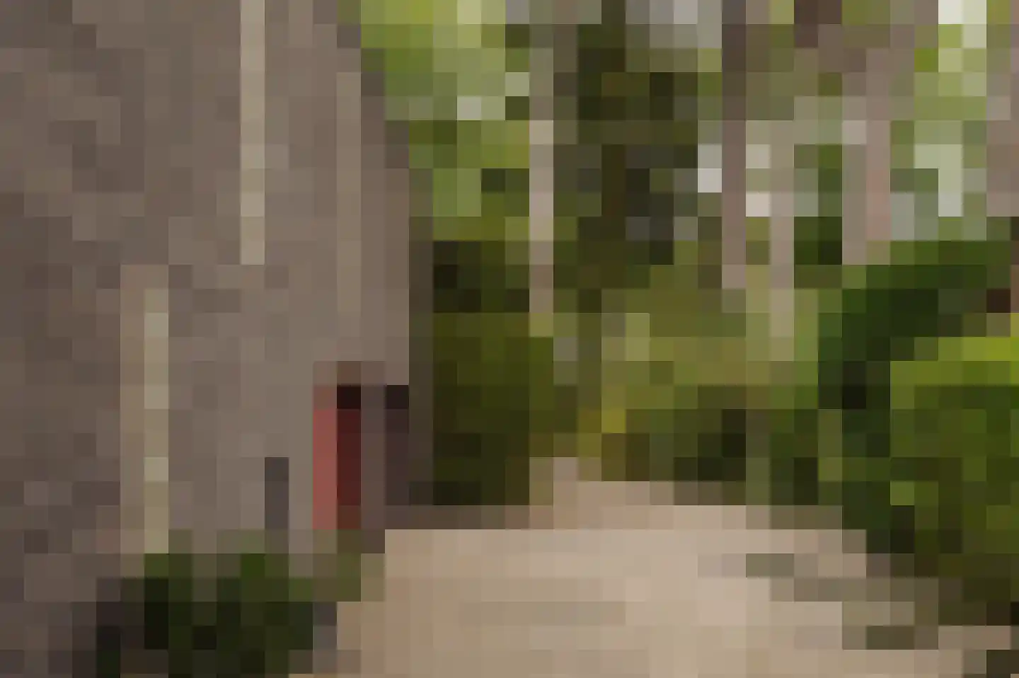 Vleysmanlaan 14 Wassenaar thumbnail 45