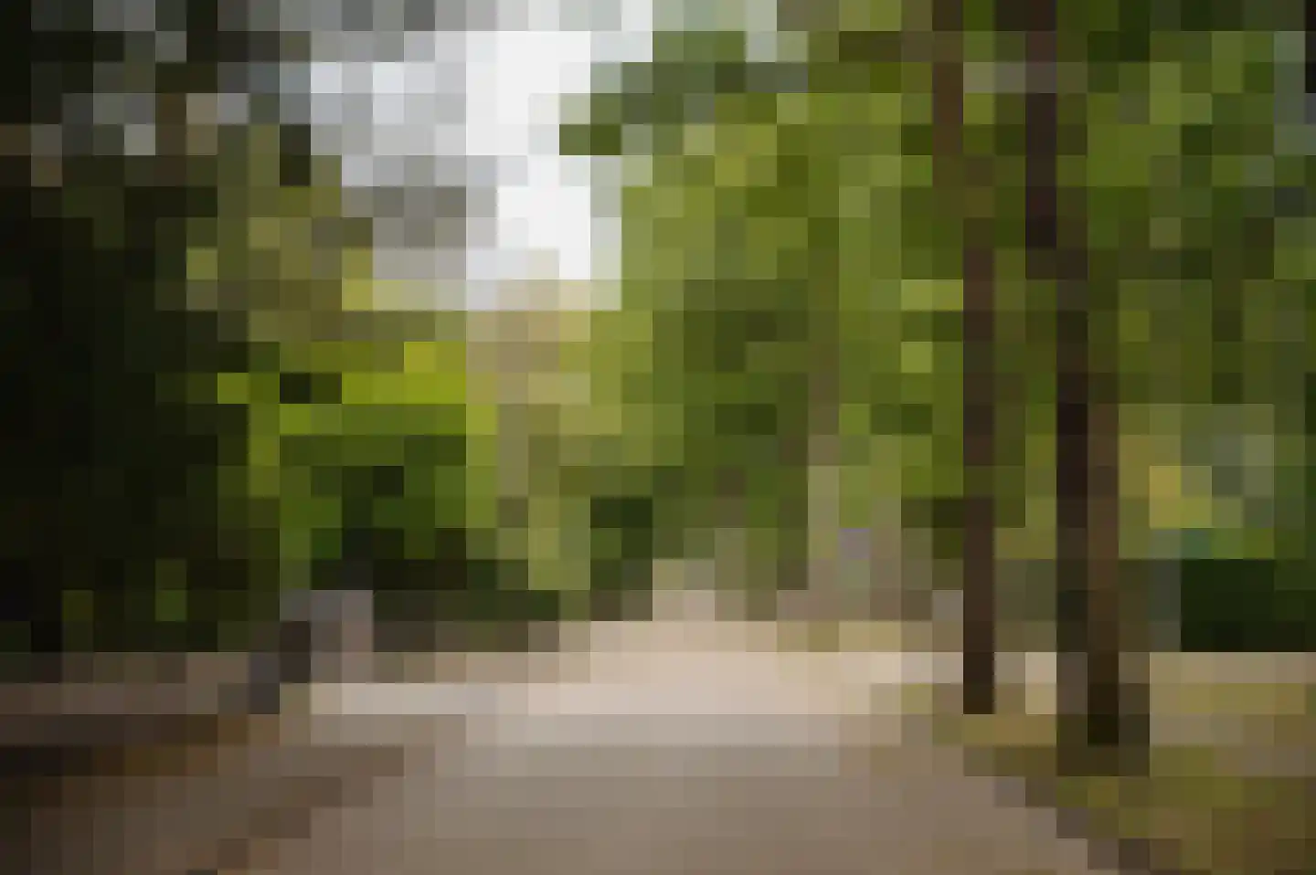 Vleysmanlaan 14 Wassenaar thumbnail 47