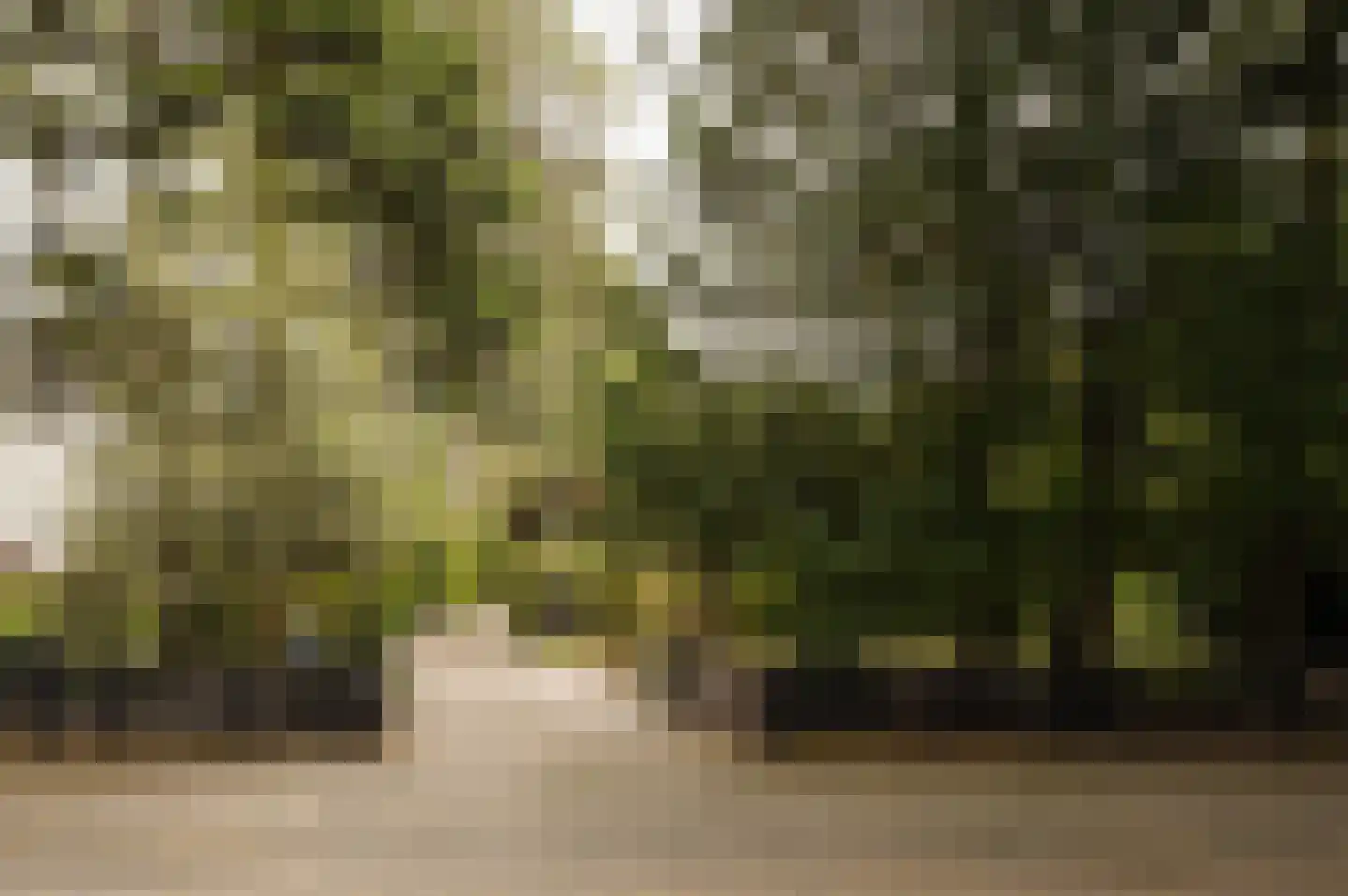 Vleysmanlaan 14 Wassenaar thumbnail 5