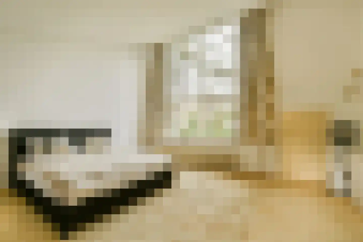 Vleysmanlaan 16 Wassenaar thumbnail 12