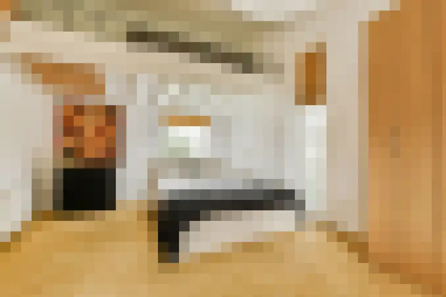 Vleysmanlaan 16 Wassenaar thumbnail 13