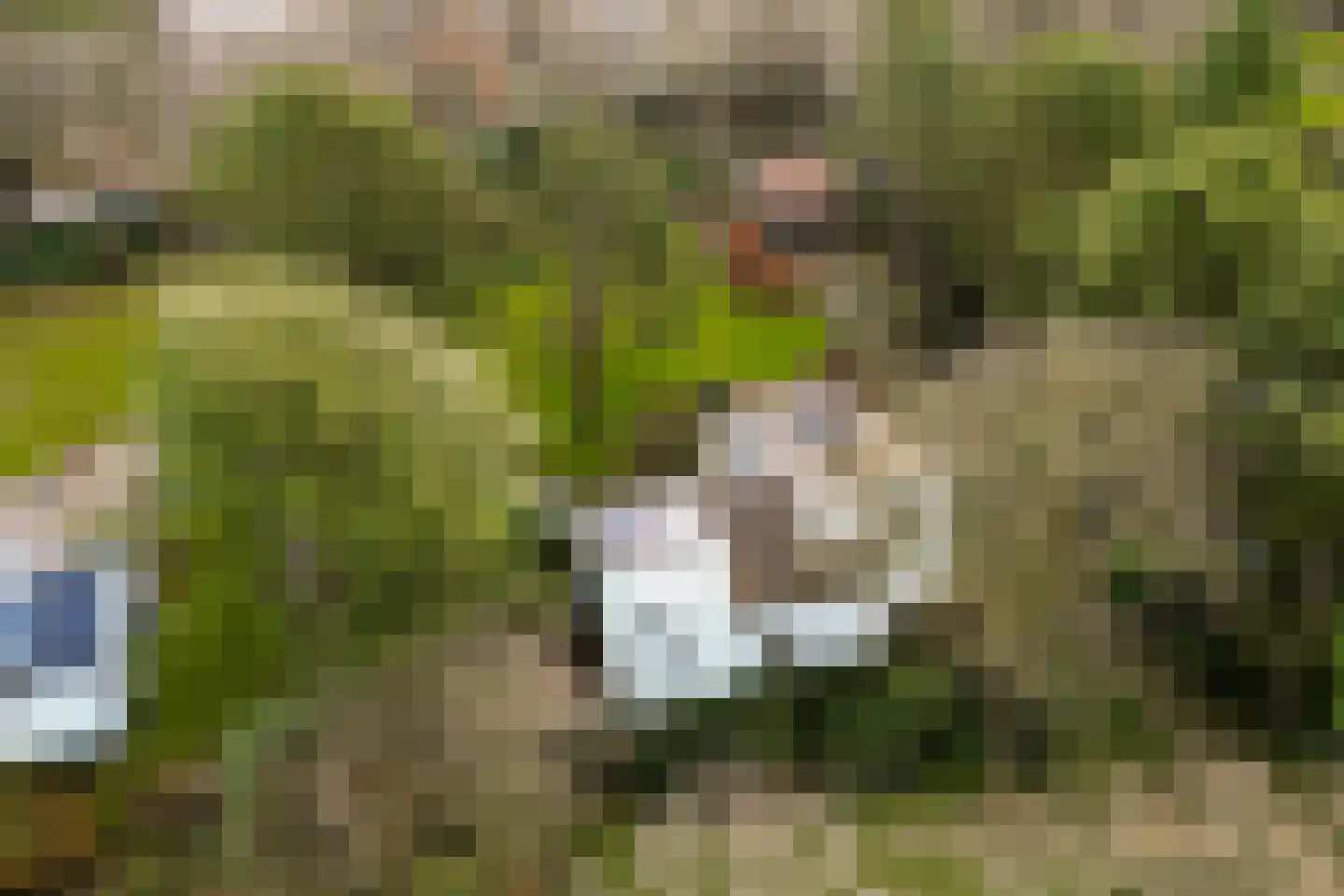 Vleysmanlaan 16 Wassenaar thumbnail 15